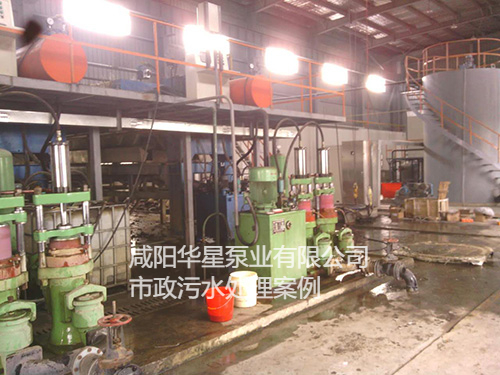 污水處理廠使用YBH300耐腐蝕泥漿泵客戶現(xiàn)場