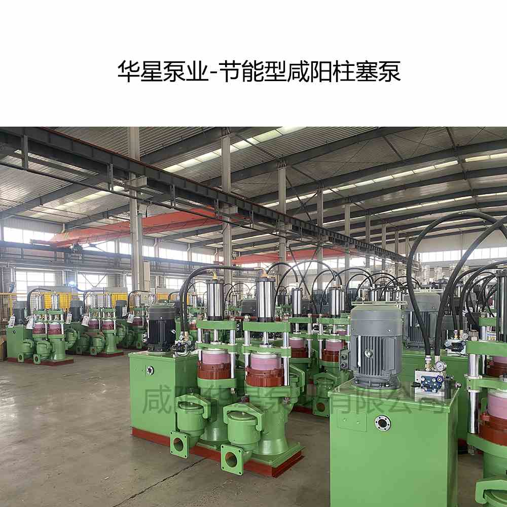 流量40立方的節(jié)能型咸陽柱塞泵